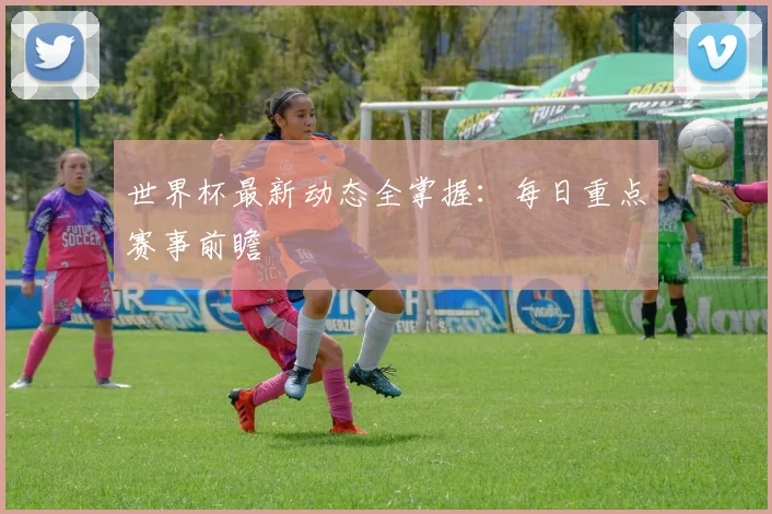 世界杯最新动态全掌握：每日重点赛事前瞻